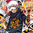 Law